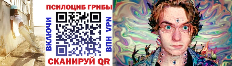Галлюциногенные грибы Cubensis  Купить закладки  Малоярославец 
